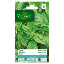 Semences Basilic Feuille Laitue – Saveur Fraîche | VILMORIN

