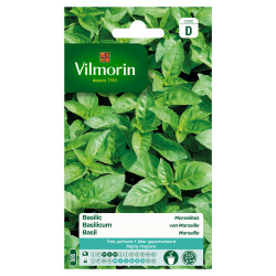 Semences Basilic Marseillais – Saveur Authentique | VILMORIN


