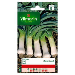 Semences Poireau Carentan 2 – Facile à cultiver | VILMORIN

