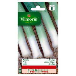 Semences Poireau Liège VILMORIN – Culture Facile | VILMORIN