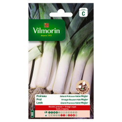 Poireau Géant Précoce Major – Semis Facile | VILMORIN