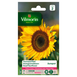 Semences Tournesol Nain Sunspot VILMORIN – Fleurissez votre jardin | VILMORIN