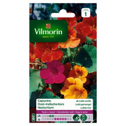 Semences Capucine Lobb Variée – Fleurissez Votre Jardin | VILMORIN