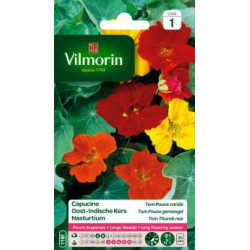 Semences Capucine Tom Pouce Variée – Fleuraison Abondante | VILMORIN