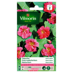 Semences de capucine « Cherry Rose » VILMORIN – Fleurs estivales | VILMORIN