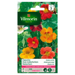 Semences de capucine Alaska variée – fleurs colorées | VILMORIN