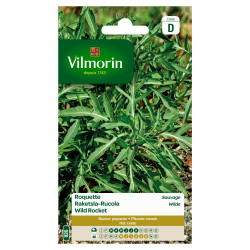 Semences Roquette Sauvage VILMORIN – Saveur Intense | VILMORIN

