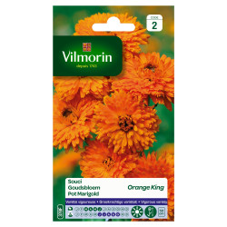 Semences de souci Orange King – Fleurs éclatantes | VILMORIN

