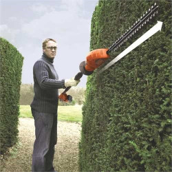 Taille-haie sur perche sur accu 18 V Li 2 Ah 43 cm GTC1843L20-QW - BLACK+DECKER