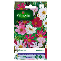 Semences Cosmos Aldebaran – Fleurs Éclatantes | VILMORIN