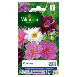 Semences Cosmos Psychée VILMORIN – Fleurissez votre jardin | VILMORIN