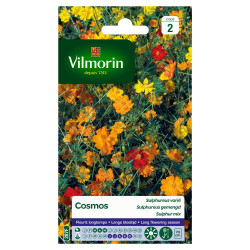 Semences variées de Cosmos sulphureus – Fleurs colorées | VILMORIN
