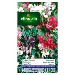 Semences Pois de Senteur Buisson Varié – Floraison Abondante | VILMORIN