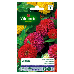 Semences Zinnia Monstrueuse – Fleurs Géantes | VILMORIN

