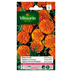 Semences Œillet d'Inde Globe Orange – Fleur Lumineuse | VILMORIN