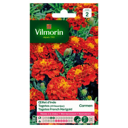 Semences Oeillet d'Inde Carmen VILMORIN – Fleurs Colorées | VILMORIN