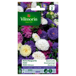 Semences Reine Marguerite Beauté variée – Fleurissez votre jardin | VILMORIN