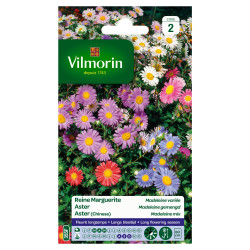 Semences Reine Marguerite Madeleine variée – Floraison Abondante | VILMORIN