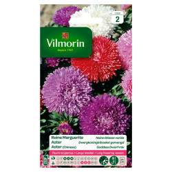 Semences Reine Marguerite Naine Déesse – Fleurs Variées | VILMORIN