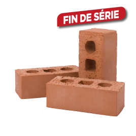 Brique rouge standard Boeren 65 18 X 8,5 X 6,5 cm COECK