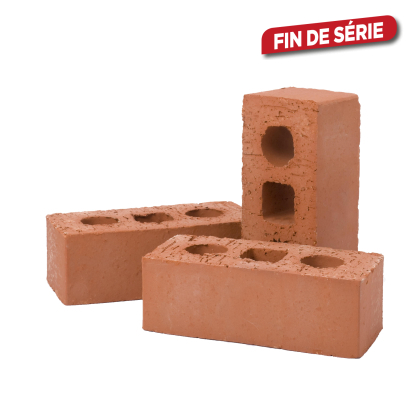 Brique rouge standard Boeren 65 18 X 8,5 X 6,5 cm COECK