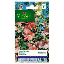 Semences Rose Trémière Pastorale – Belle floraison | VILMORIN