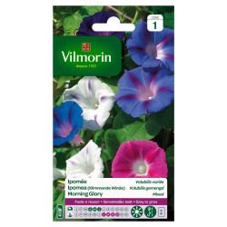 Semences Ipomée Volubilis Variée – Fleurs Grimpantes | VILMORIN