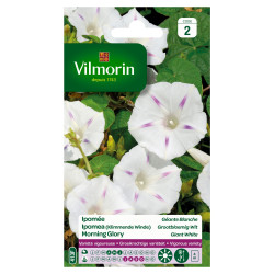 Semences Ipomée Géante Blanche – Fleurs Éblouissantes | VILMORIN


