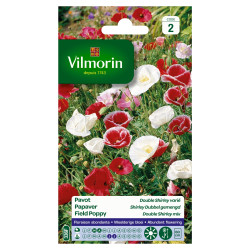 Semences Pavot Double Shirley Varié – Fleurs Éclatantes | VILMORIN