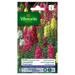 Semences Gueule de Loup Grand Loup Varié – Floraison Abondante | VILMORIN