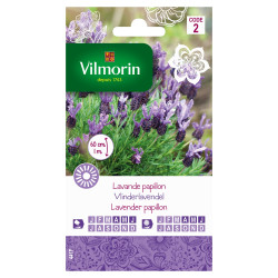 Semences Lavande Papillon VILMORIN – Fleurissez votre jardin | VILMORIN