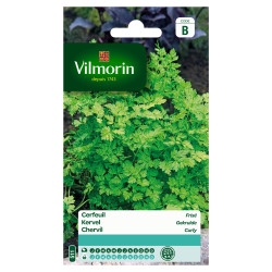 Semences Cerfeuil Frisé 10g VILMORIN – Cultivez Facile | VILMORIN