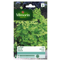Semences Cerfeuil Frisé VILMORIN – Facile à cultiver | VILMORIN