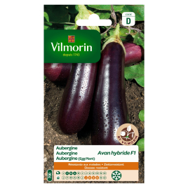 Semences d'aubergine VILMORIN