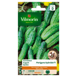 Semences Cornichon Parigyno F1 – Récolte Abondante | VILMORIN