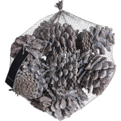 Set de pommes de pin blanches 0,3 kg