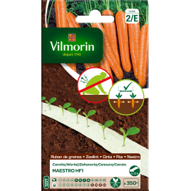 Ruban de carottes Maestro HF1 VILMORIN