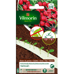 Ruban de radis Tinto HF1 – Semis facile | VILMORIN