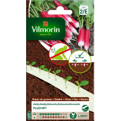 Ruban de radis Fluo HF1 VILMORIN – Semis Facile | VILMORIN