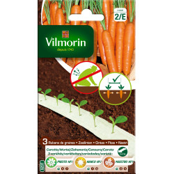 Ruban de carottes VILMORIN – Semis facile et récoltes | VILMORIN