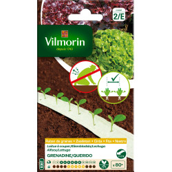 Laitue à couper Ruban Duo VILMORIN – Récolte Facile | VILMORIN