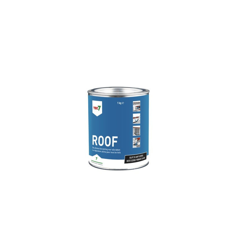 Pâte de réparation Roof 1 kg TEC7