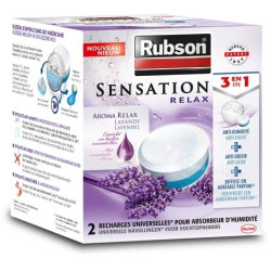 Recharges Absorbeur Sensation 2x300g RUBSON