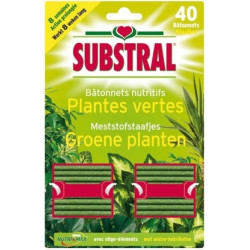 Bâtonnets Engrais Plantes Vertes 40pcs – Nutrition Essentielle | SUBSTRAL