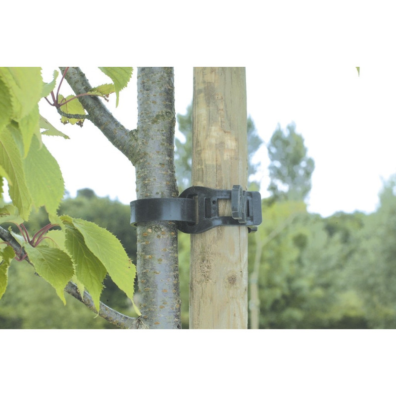 Collier de fixation pour arbre 36 cm NORTENE