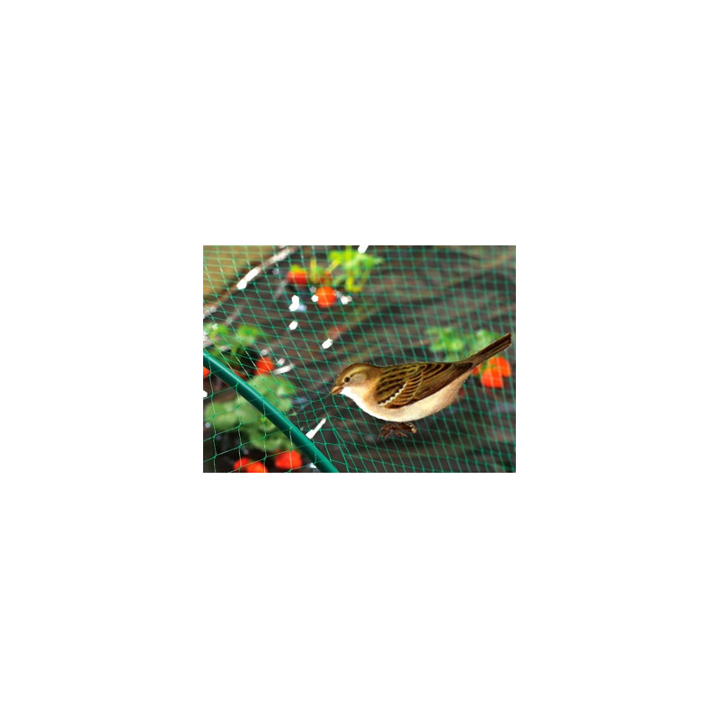Filet anti-oiseaux Birdnet 2x5m – Protégez votre jardin | NORTENE
 Filet anti-oiseaux Birdnet 2x5m – Protégez votre jardin | NORTENE