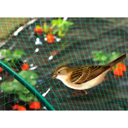 Filet Anti-Oiseaux Birdnet 5x5m – Protection Efficace | NORTENE

