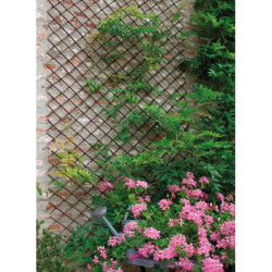 Treillis extensible Willow – Idéal jardin | NORTENE
