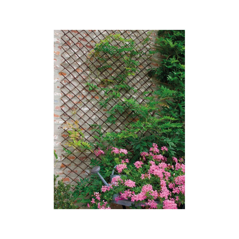 Treillis extensible Willow – Idéal jardin | NORTENE