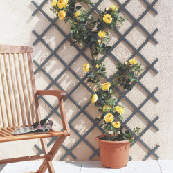 Trellis extensible Trelliflex 0,5x1,5m – Jardinage facile | NORTENE Trellis extensible Trelliflex 0,5x1,5m – Jardinage facile | NORTENE